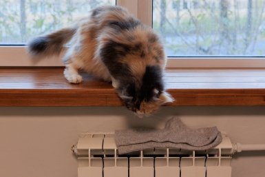 Тематическое фото ИА AmurMedia